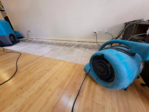 Reliable Water Damage Repair contractor in Burlington, NJ by Hirex Water Damage