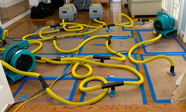 Professional Water Damage Repair technician working in Burlington, NJ